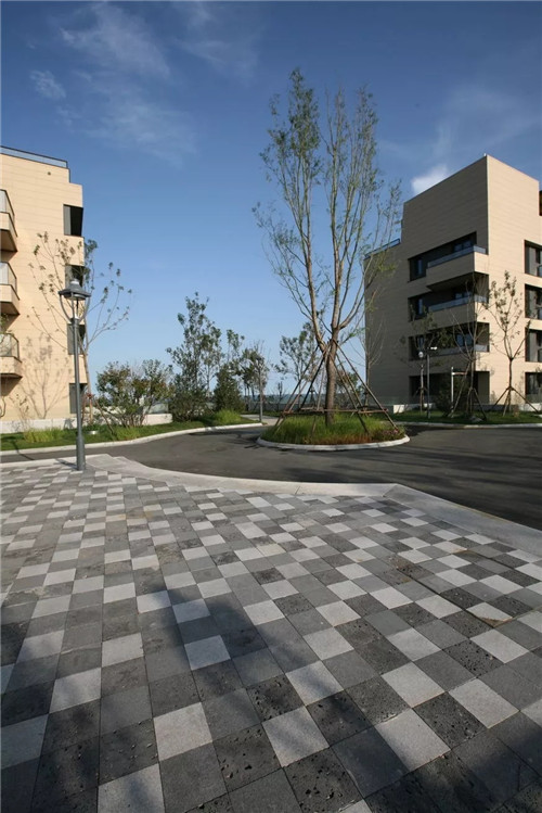 章俊華作品: 無形中的有形——秦皇島阿那亞三期景觀設計