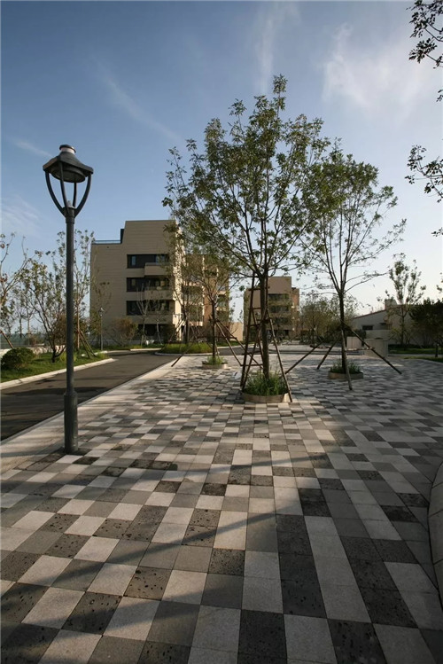 章俊華作品: 無形中的有形——秦皇島阿那亞三期景觀設計