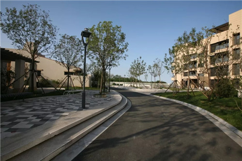 章俊華作品: 無形中的有形——秦皇島阿那亞三期景觀設計