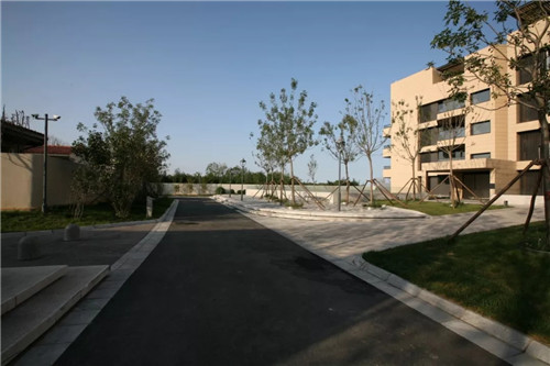 章俊華作品: 無形中的有形——秦皇島阿那亞三期景觀設計