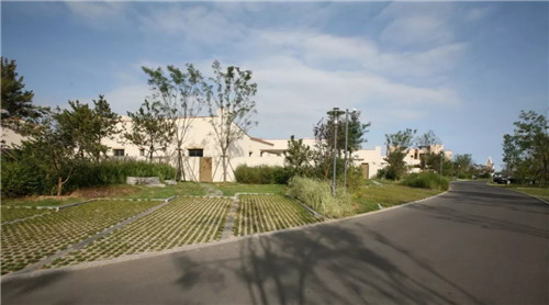 章俊華作品: 無形中的有形——秦皇島阿那亞三期景觀設計