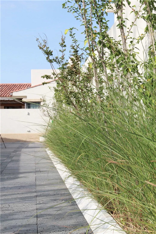 章俊華作品: 無形中的有形——秦皇島阿那亞三期景觀設計