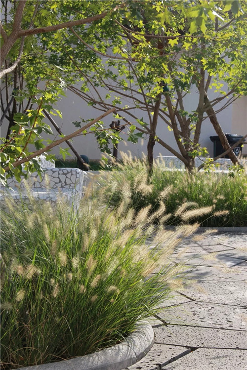 章俊華作品: 無形中的有形——秦皇島阿那亞三期景觀設計