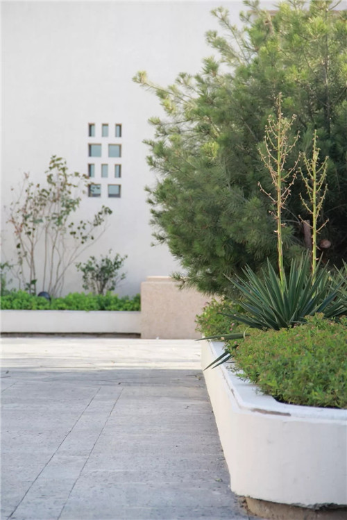 章俊華作品: 無形中的有形——秦皇島阿那亞三期景觀設計