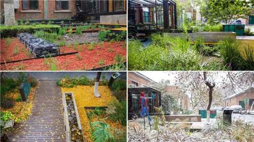 鄒裕波：可持續(xù)景觀設(shè)計(jì)實(shí)踐——海綿城市落地探討