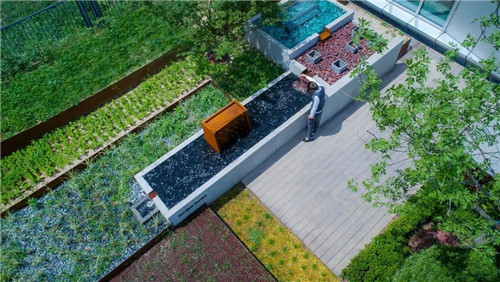 鄒裕波：可持續(xù)景觀設(shè)計(jì)實(shí)踐——海綿城市落地探討