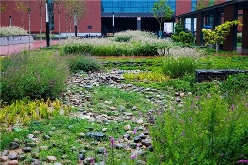 鄒裕波：可持續(xù)景觀設(shè)計(jì)實(shí)踐——海綿城市落地探討