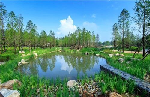 鄒裕波：可持續(xù)景觀設(shè)計(jì)實(shí)踐——海綿城市落地探討