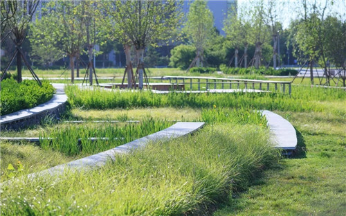 2019園冶杯專業獎丨遷安海綿改造系列景觀