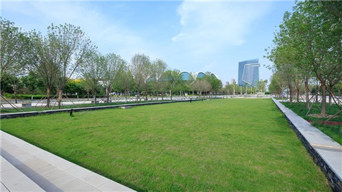 2019園冶杯專業獎丨遷安海綿改造系列景觀