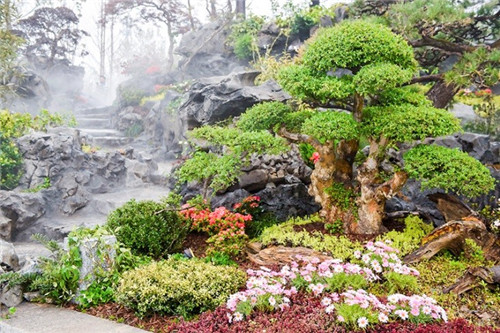 浙里故事｜深化設計，助力展園走上精品之路