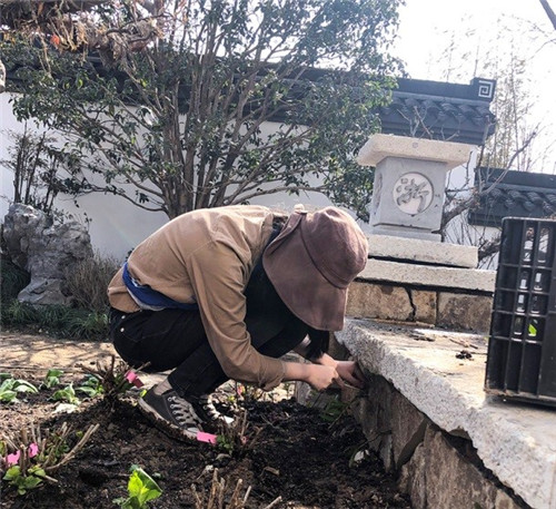 浙里故事｜深化設計，助力展園走上精品之路