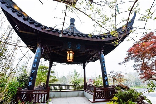 浙里故事｜深化設計，助力展園走上精品之路