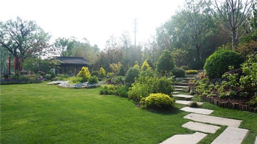 浙里故事｜深化設計，助力展園走上精品之路