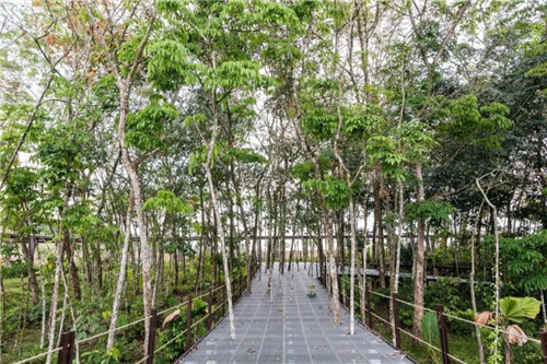 2019園冶杯專業獎丨馬來西亞萬茂 Iringan Bayu