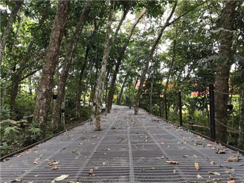 2019園冶杯專業獎丨馬來西亞萬茂 Iringan Bayu