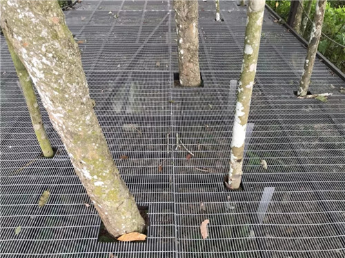 2019園冶杯專業獎丨馬來西亞萬茂 Iringan Bayu