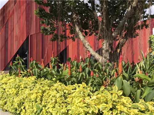 2019園冶杯專業獎丨馬來西亞萬茂 Iringan Bayu