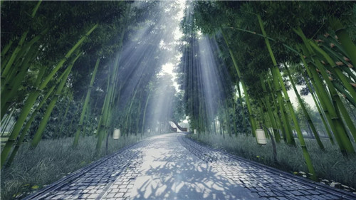 2019園冶杯專業獎丨安仁林盤莊園概念規劃及一期景觀設計