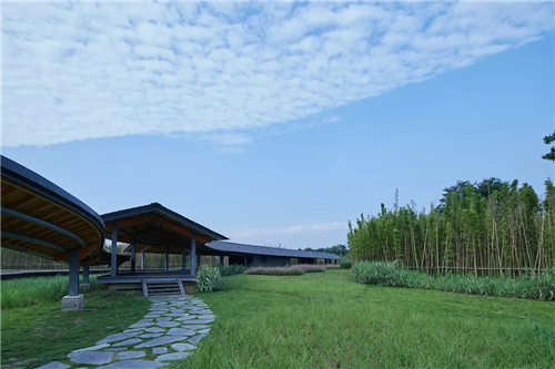 2019園冶杯專業獎丨安仁林盤莊園概念規劃及一期景觀設計