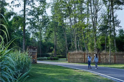 2019園冶杯專業獎丨安仁林盤莊園概念規劃及一期景觀設計