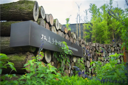 2019園冶杯專業獎丨安仁林盤莊園概念規劃及一期景觀設計