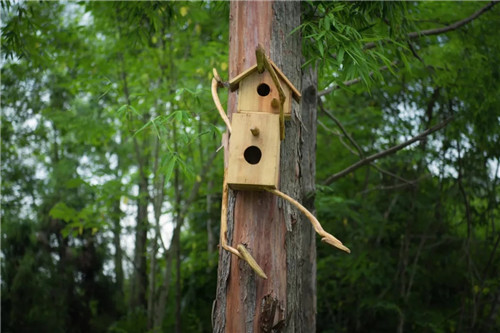 2019園冶杯專業獎丨安仁林盤莊園概念規劃及一期景觀設計