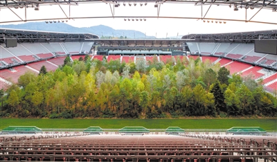 奧地利公共藝術裝置體育場化身巨型森林