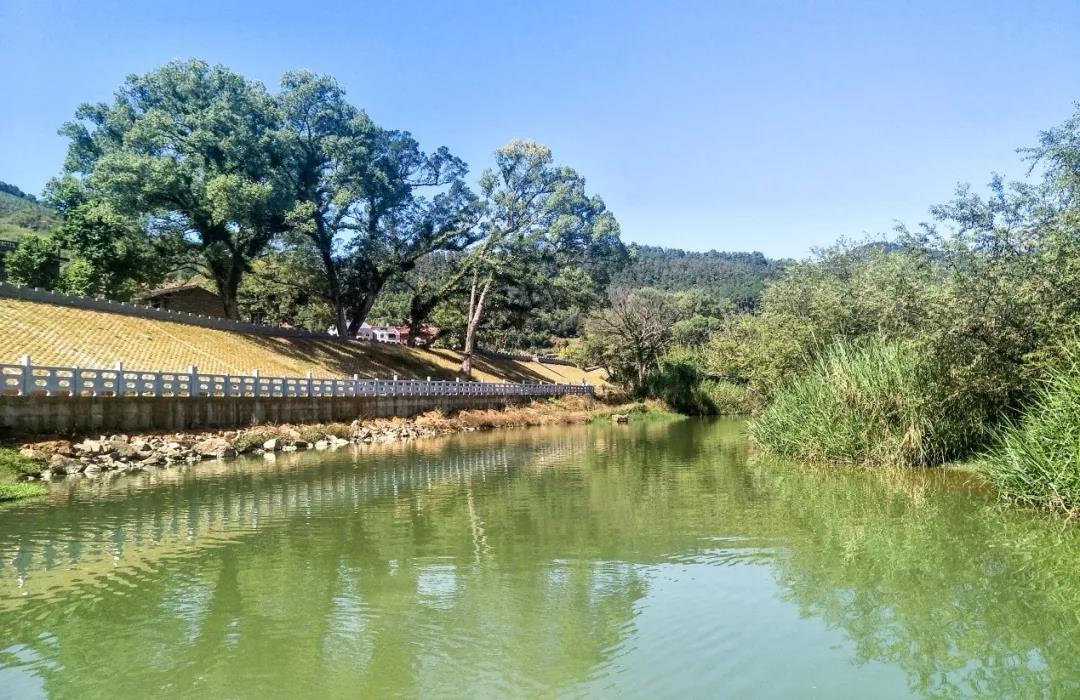 2019園冶杯專業獎丨半山村美麗鄉村規劃