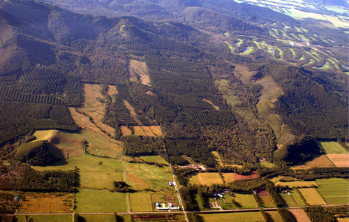 高野文彰:景觀之夢