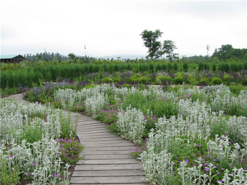 高野文彰:景觀之夢