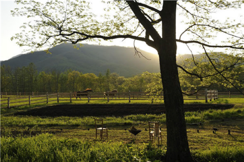 高野文彰:景觀之夢