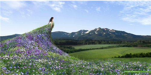 高野文彰:景觀之夢