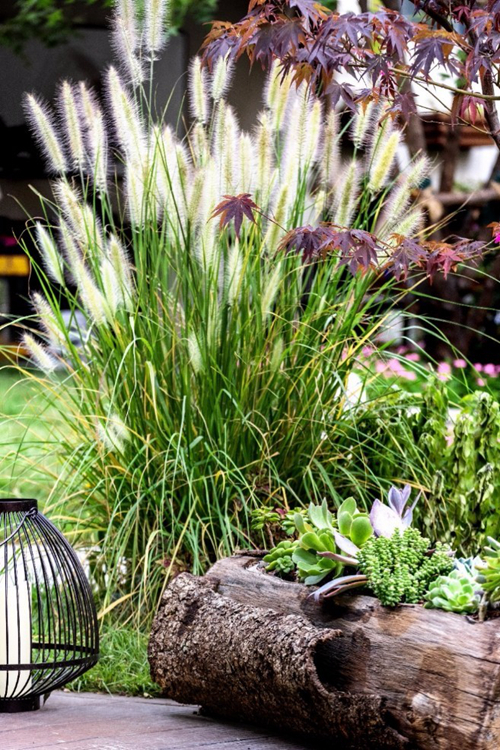 2019園冶杯專業(yè)獎(jiǎng)丨世茂北京·國(guó)風(fēng)長(zhǎng)安·云棠