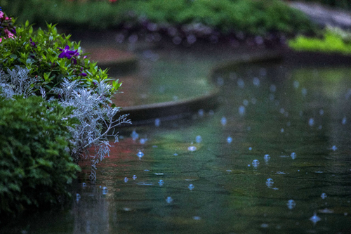 2019園冶杯專業獎丨杭州宸宇府