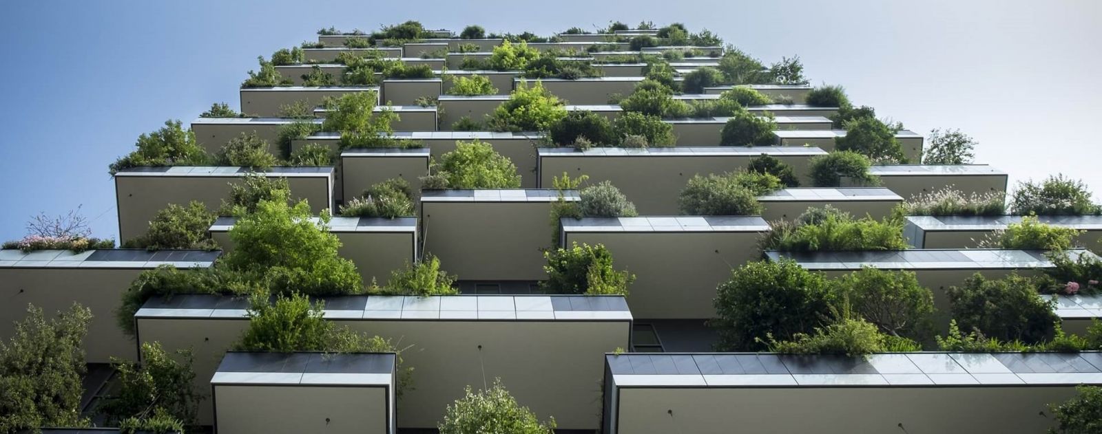 Christian:城市居住區景觀設計的重要性