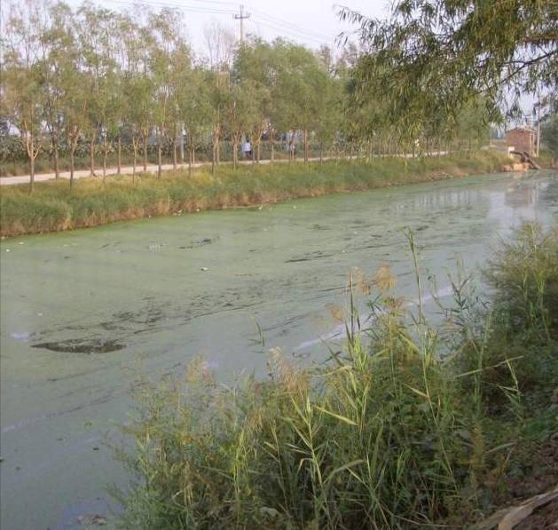 Christian:城市居住區景觀設計的重要性