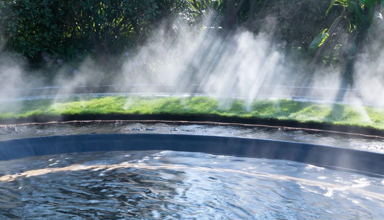 2019園冶杯專業獎丨世茂青島?璀璨天樾