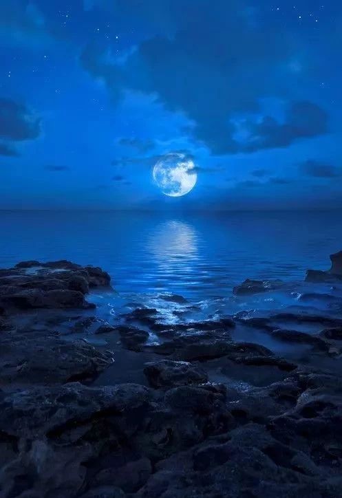 2019園冶杯專業獎丨世茂青島?璀璨天樾