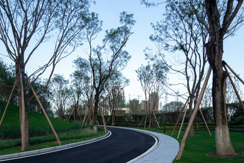 2019園冶杯專業(yè)獎丨成都保利和光嶼湖