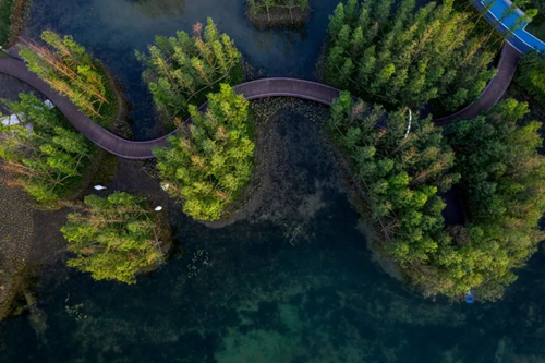 2019園冶杯專業(yè)獎丨成都保利和光嶼湖