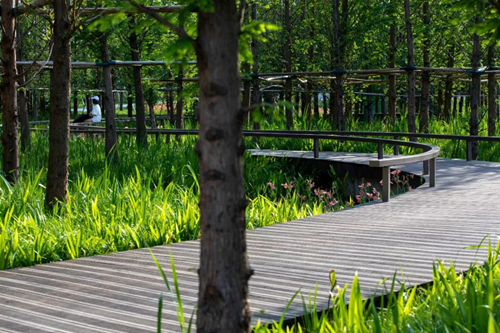 2019園冶杯專業(yè)獎丨成都保利和光嶼湖