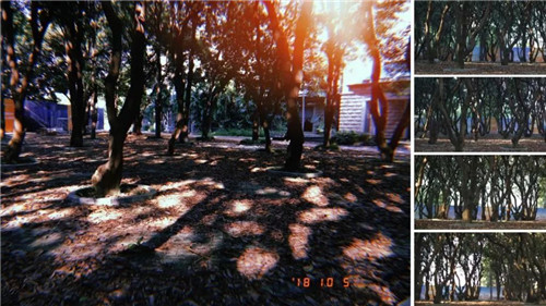 我把名字寫在了時間里丨華潤置地 西園悅府