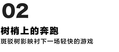 貴陽中南·春風(fēng)南岸 社區(qū)花園實(shí)踐