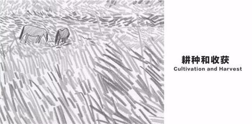 貴陽中南·春風(fēng)南岸 社區(qū)花園實(shí)踐