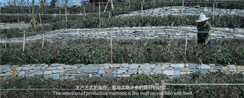 貴陽中南·春風(fēng)南岸 社區(qū)花園實(shí)踐