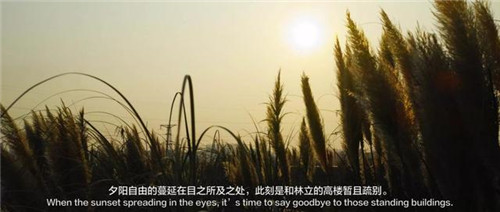 貴陽中南·春風(fēng)南岸 社區(qū)花園實(shí)踐