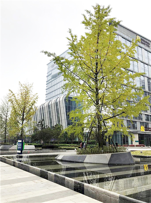 2019園冶杯專業獎丨成都皇冠假日酒店