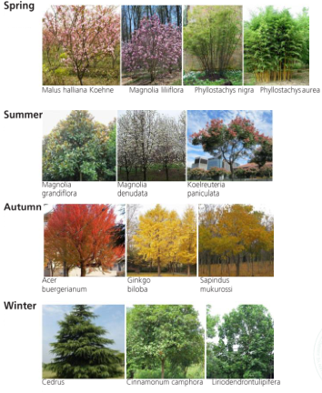 2019園冶杯專業獎丨成都皇冠假日酒店