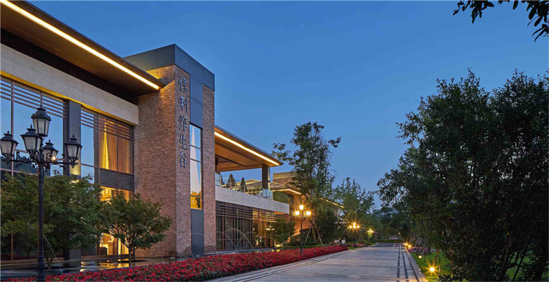 2019園冶杯專業獎丨保利養生谷